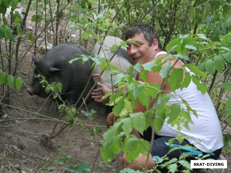 Ятченко Владимир, со свиньями