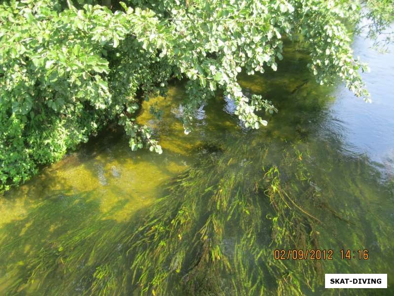 Прозрачная вода реки Свапа