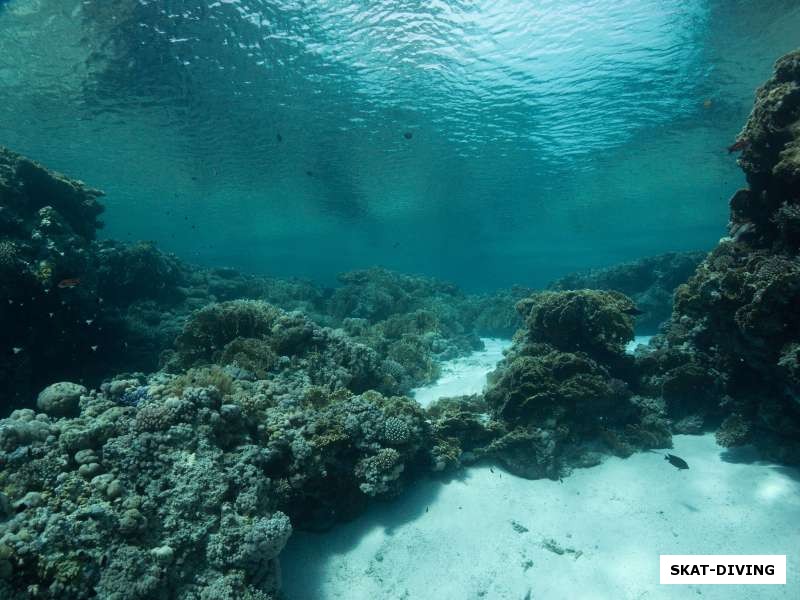 Верхняя часть Jackson Reef