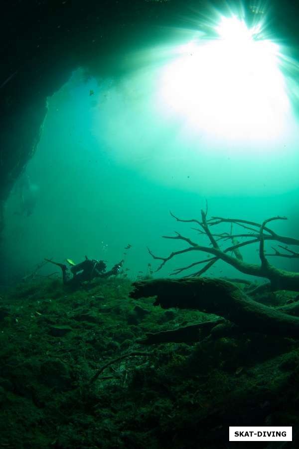 Подводный мир Мексики