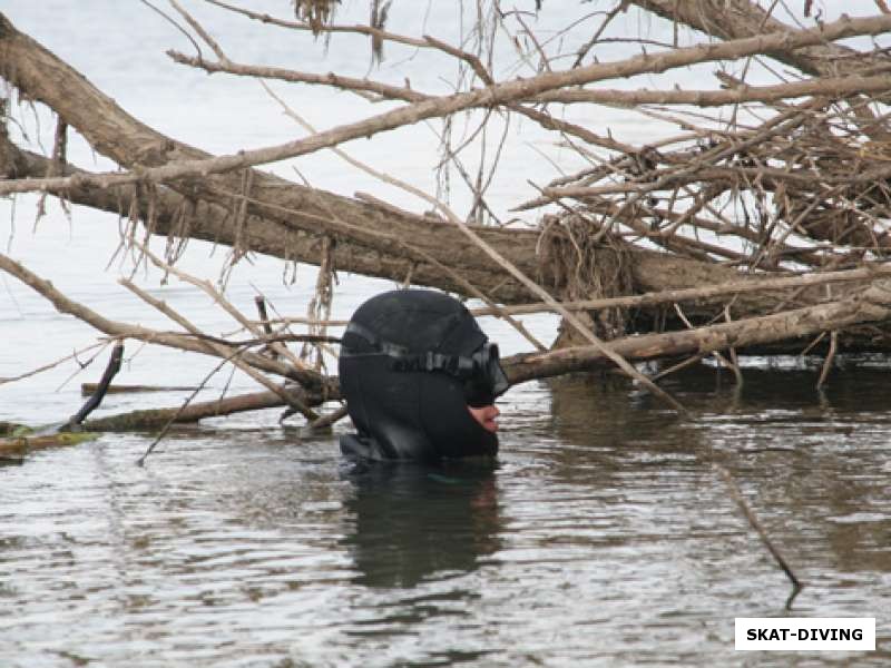 У корчей рыбы больше