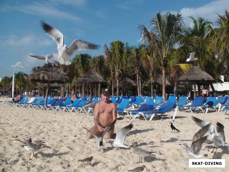 Кирюхин Дмитрий, пляж отеля Сандос населен голодными бакланами