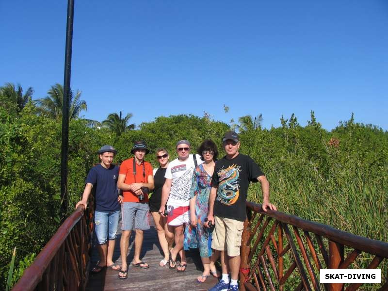 Мостик через ручей с черепахами и крокодилом в отеле на острове Касумель