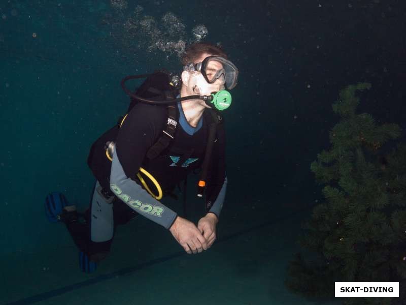 Жижикин Алексей, у подводной елки