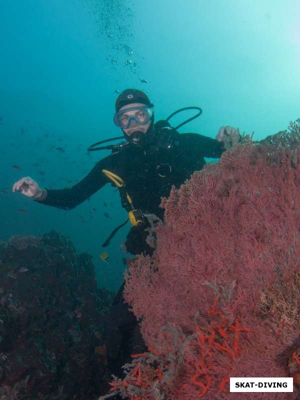 Голубев Андрей, вдохновляется подводной жизнью