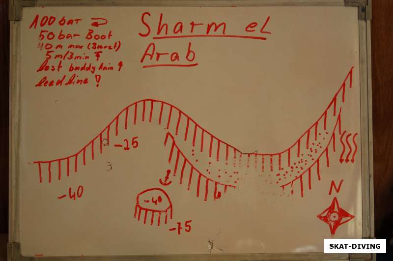 дайв-сайт sharm el arab