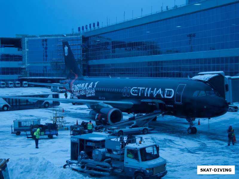 Летали отличной авиакомпанией ETIHAD. Москва - Абу-Даби - Манила