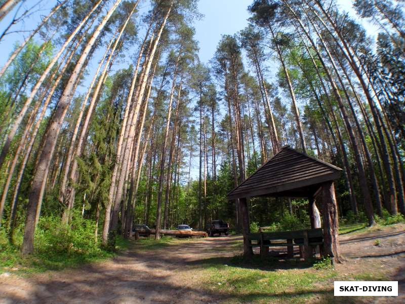 Беседка на Круглом, окруженная лесом