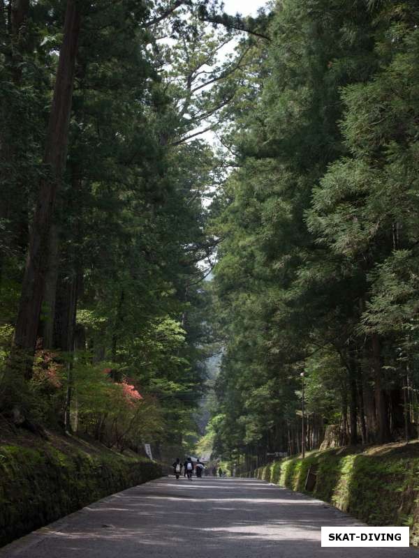 Аллеи в парке NIKKO