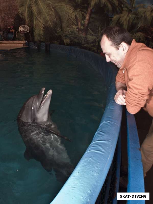 Ильюшин Дмитрий, с дельфин рассказывают друг другу свежие анекдоты