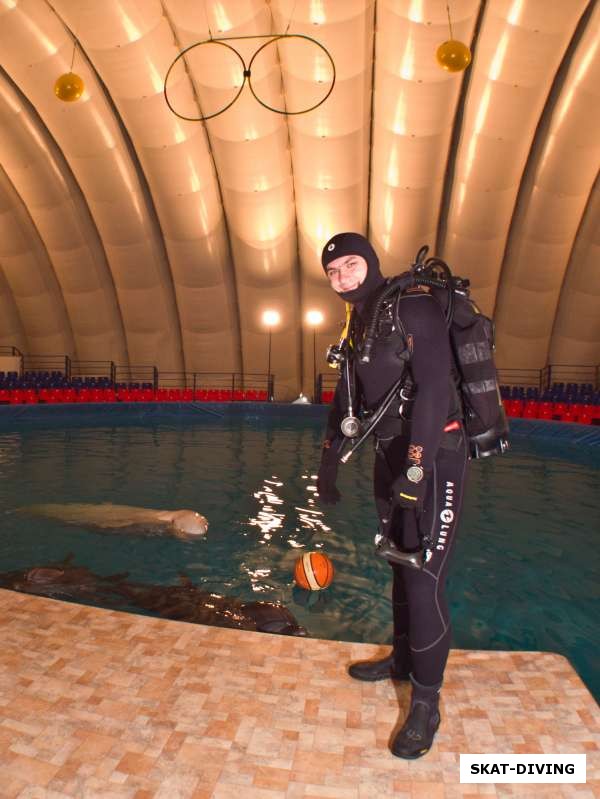 Зюков Роман, пора под воду к двум дельфинам самцам и двум белухам самкам