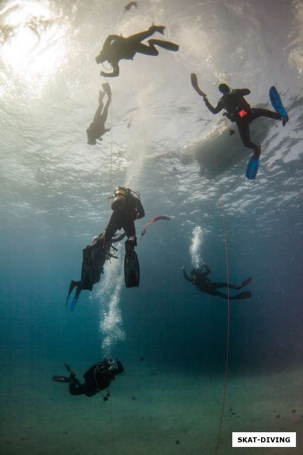 Безумие check-dive, первый день всегда безумен!