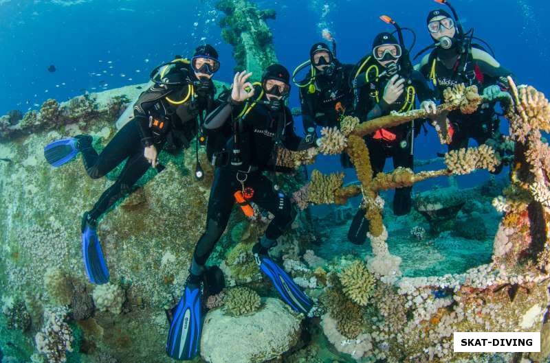 Азотные алкоголики приняли свою дозу и фотографируются