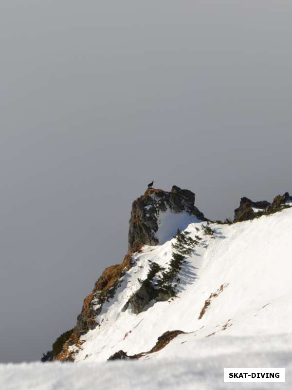 И даже высоко в горах мы не были одни, внимательные смогут разглядеть горного козла, не боящегося высот и отвесных скал