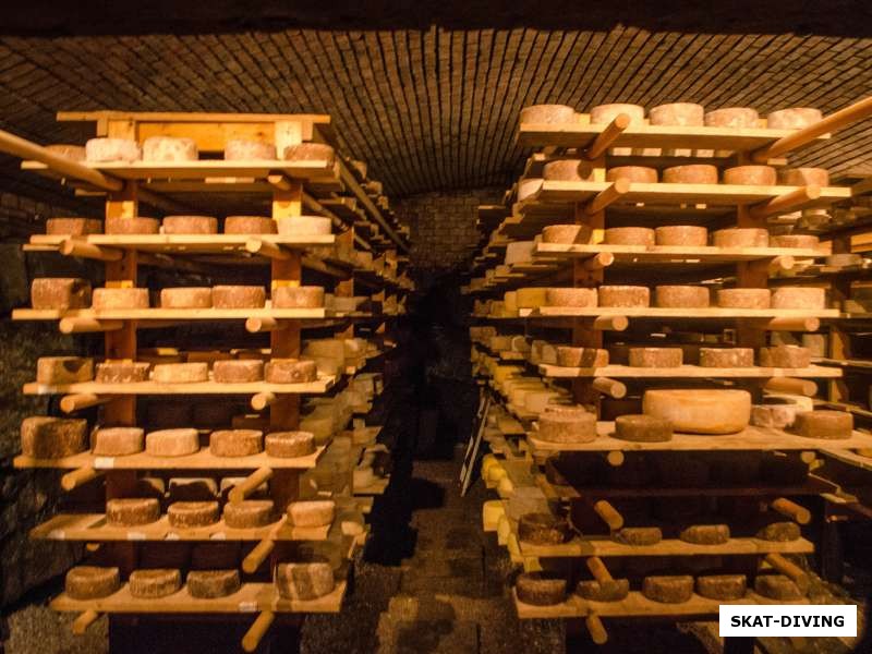 Подвал маленького норвежского сырного завода, наверху можно было купить готовую продукцию