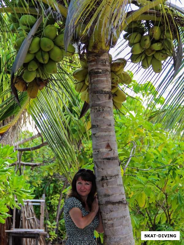 Недоконцева Виктория, в тени кокосовой пальмы