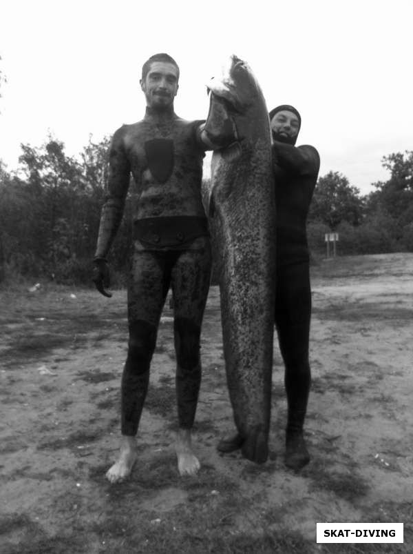 Романов Артем, Ильюшин Дмитрий, и сом под 40 килограмм. К удивлению многих был взят на глубине полтора метра, на песчаном перекате.