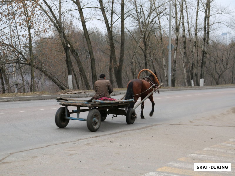 Некоторым кажется, что Брянск это большая деревня... Может быть так и есть