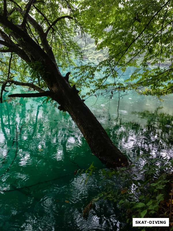 Легендарная изумрудная вода Голубых озер Кабардино-Балкарии, да да и там мы тоже побывали