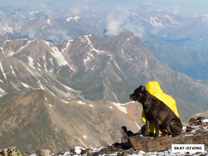 Лазаренко Мария, Собака Грена, какое счастье иногда - просто посидеть, подумать о вечном, растворившись в красоте Главного Кавказского Хребта