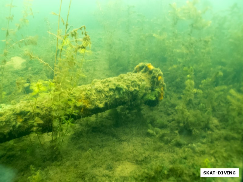 На глубине три метра была обнаружена труба, уходящая в неизвестность
