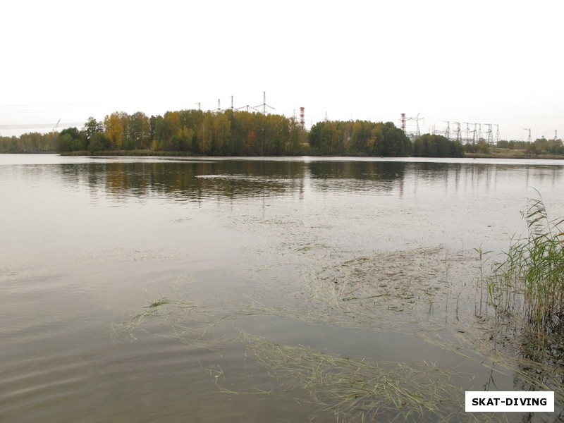 Поворот отводного канала горячей воды, на котором мы ныряли, надо сказать было весьма приметное течение