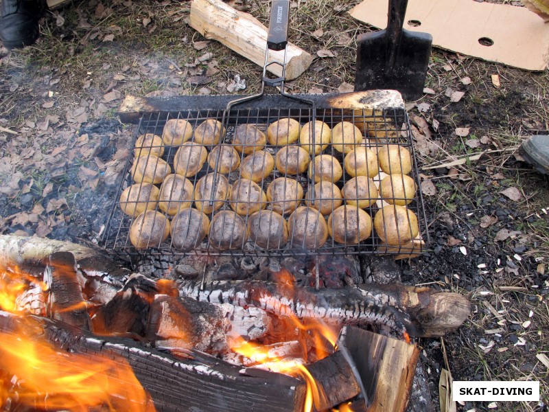 А вот и молодая картошка жарится на костре... Да да, начало марта, а картошка молодая