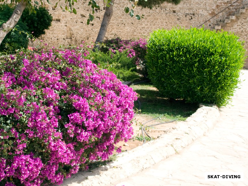 Весна - лучшее время для экскурсий по Кипру