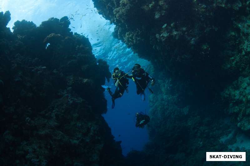 в кавернах красного моря