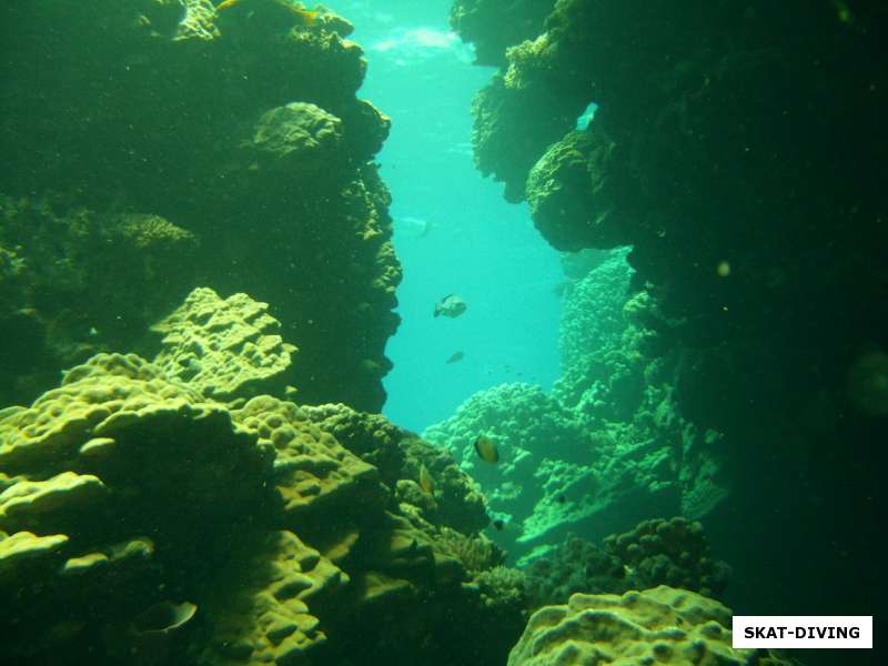 подводные каверны рифов сент джонс