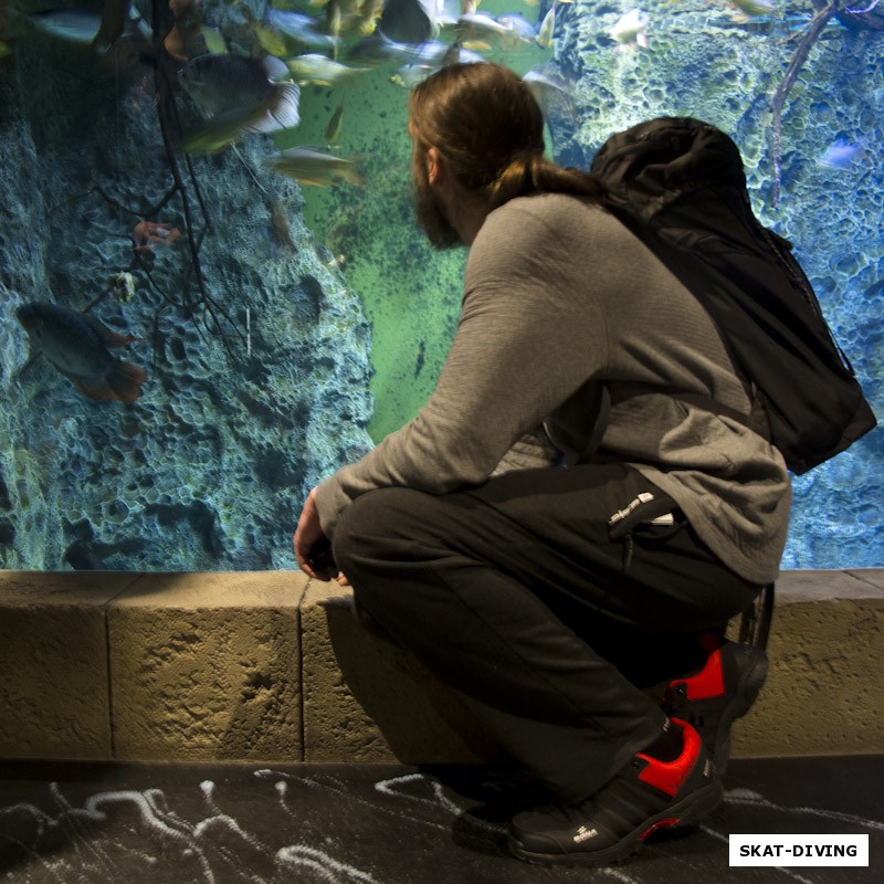 Романов Артем, как хотелось залезть в аквариумы с огромными пресноводными рыбами