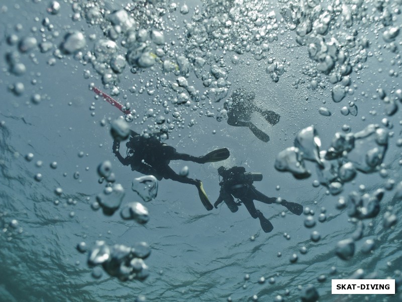 «BUBBLE DIVERS»