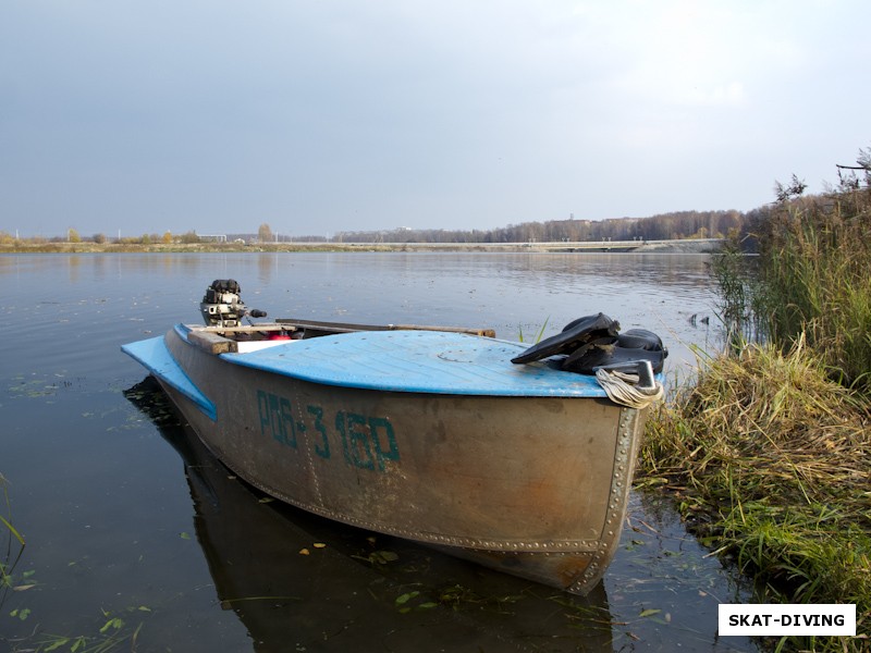 «Клубная труженица»