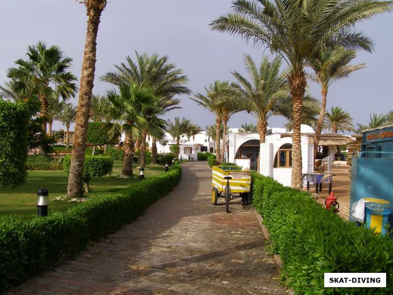 отель Hilton Dahab