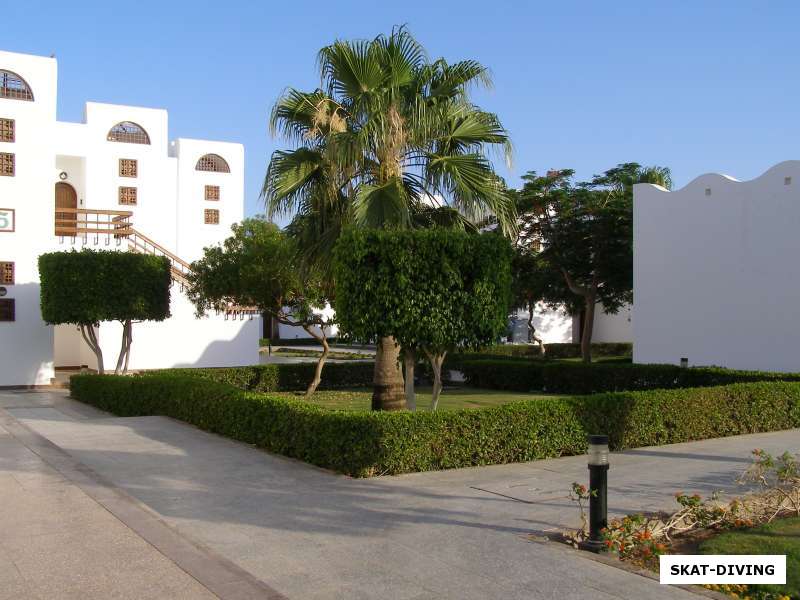 растительность отеля Hilton Dahab