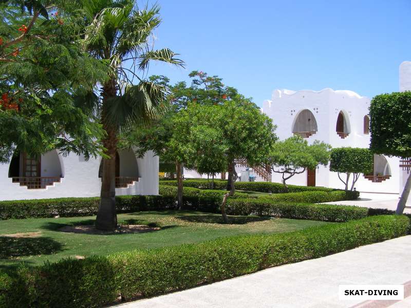 Hilton Dahab