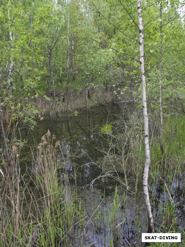 Альтернативный водоем в 15 метрах от Керамзита, интересно, какая там глубина