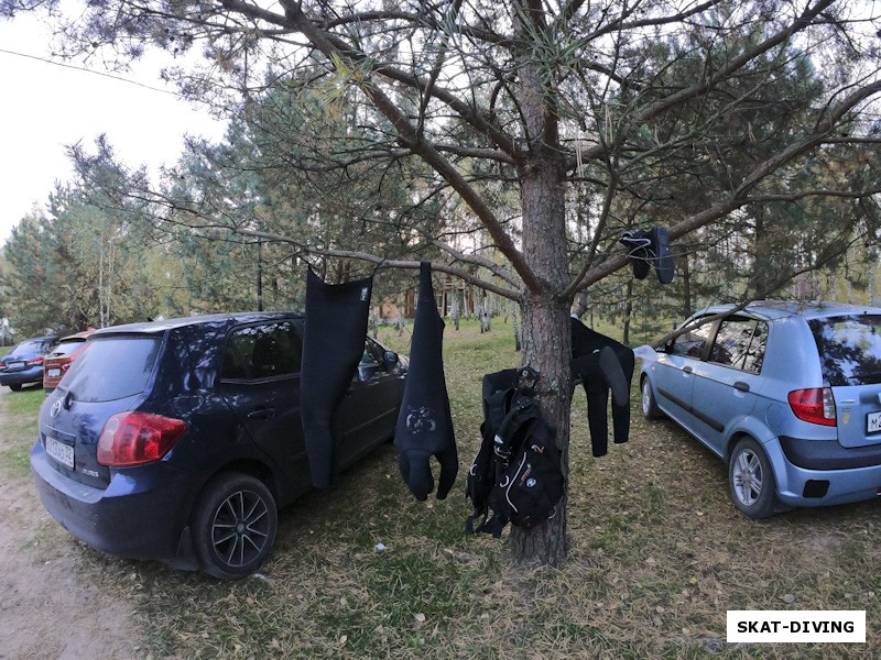 Утро на Бересте, снаряга украшает деревья