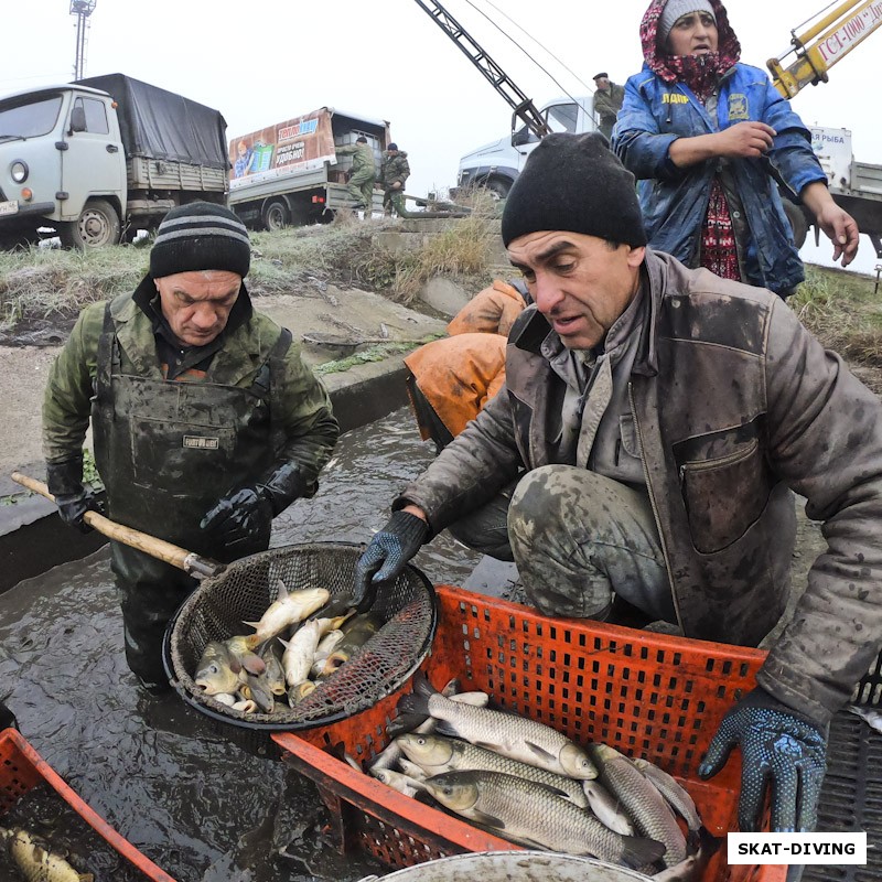 Амурчики покорно принимают свою участь, уже скоро они окажутся на воле, в большом и уютном карьере