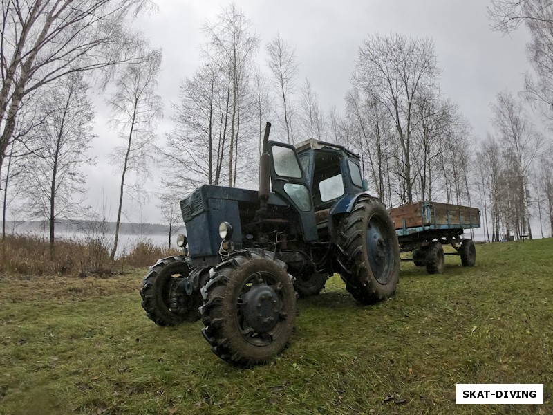 По пути от домика к воде...