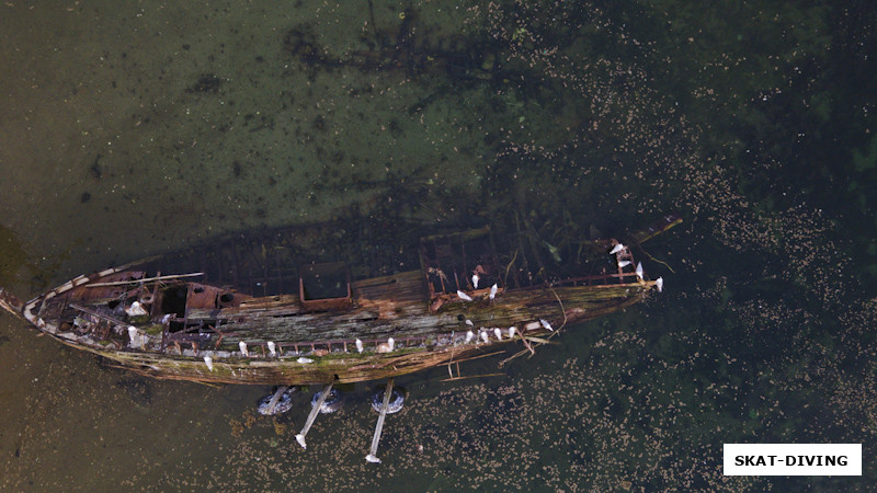 Остовы брошенных у берега кораблей в Териберке, вид с квадрокоптера