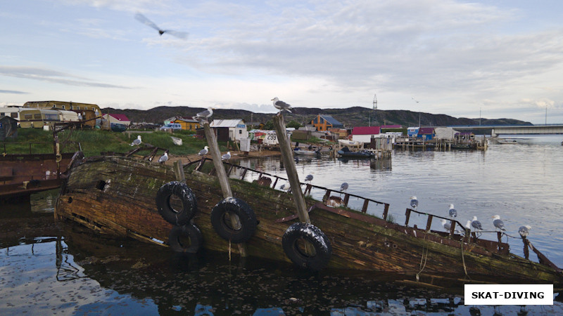 Остовы брошенных у берега кораблей в Териберке, вид также с квадрокоптера