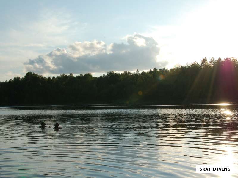 Дайверы в лесном озере