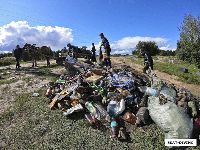 Полпинские цыгане вносят свою лепту в чистоту, пусть и за вознаграждение
