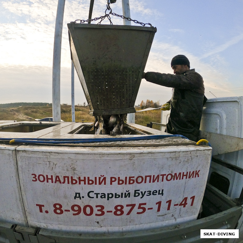 Дно емкости сдвигается и рыба без лишних потрясений оказывается в баке с артезианской водой