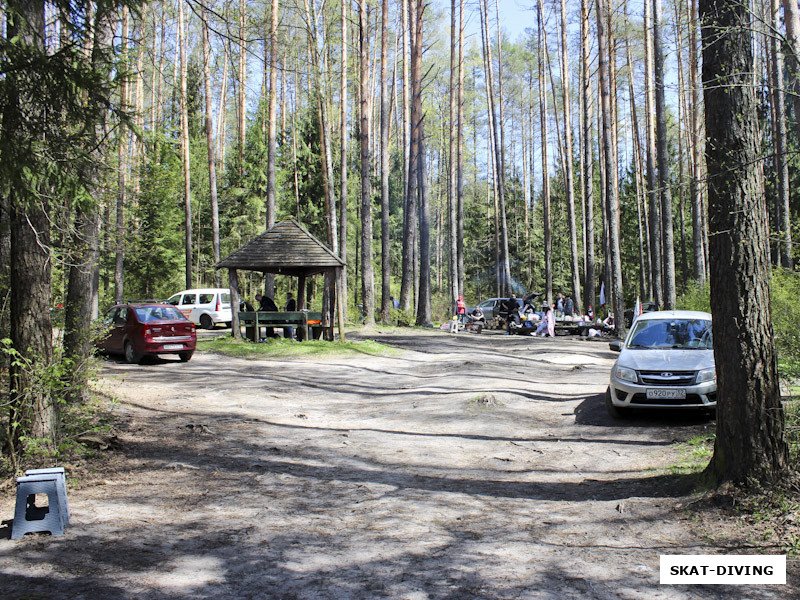 Поляна у берега озера