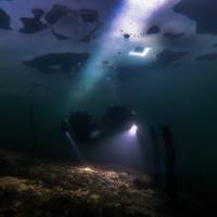 Леонов Дмитрий, фото №3