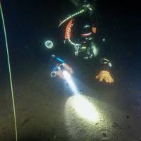 ФОТО №3
