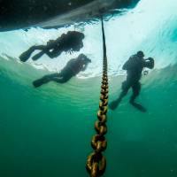 ФОТО №12