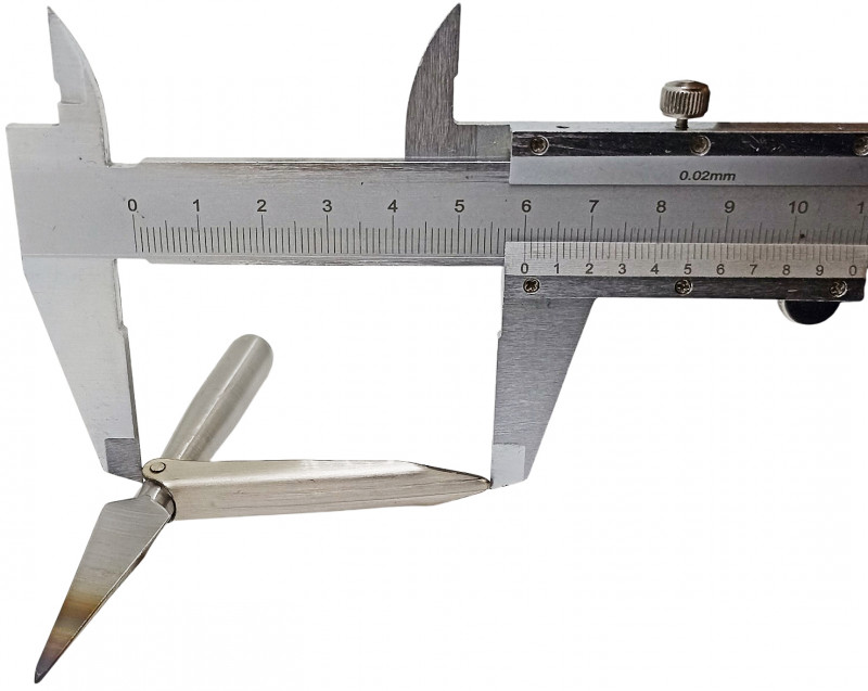 Длина лепестка (флажка) - около 6см.